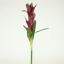 25" BROMELIAD STEM