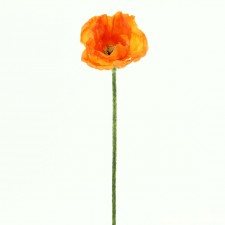 22.5" POPPY STEM ORANGE B15