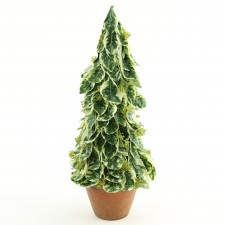 24"SOLOMON SEAL CONE PTTD A4
