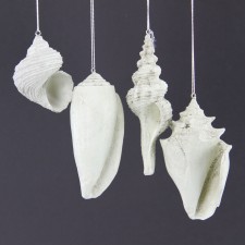 SEASHELL ORNA ASST A4