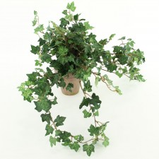 12" LACE IVY W/POT