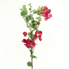 47" BOUGAINVILLEA STEM