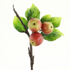 11" APPLE PICK X3 RED