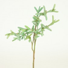 16" SUCCULENT GREEN