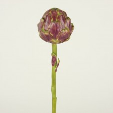 14" SM.ARTICHOKE STEM