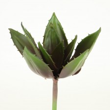 12" AGAVE PLANT EGGPLANT/GRN