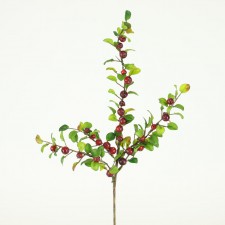 21" BERRY SPRAY RED/GREEN