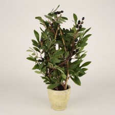 24" OLIVE CONE W/ROUND POT
