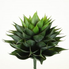 14" AGAVE BUSH GREEN