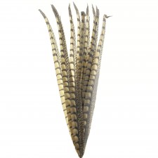 23.5"POLY FEATHER 12PC/BG A25