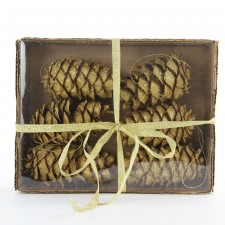 4.5"PINECONE W/GLIT 6PC/BX