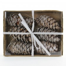 3.7"PINECONE W/GLIT 6PC/BX