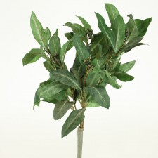 LAUREL BUSH/BERRY GREEN