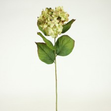 30" HYDRANGEA STEM GREEN