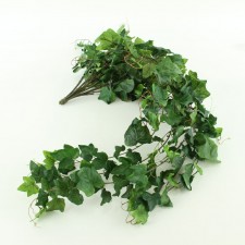 44" IVY TRAILER BUSH X19 GRN