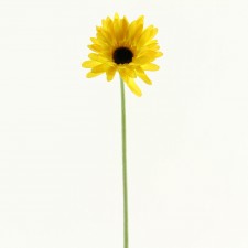 21" GERBERA STEM YELLOW B5
