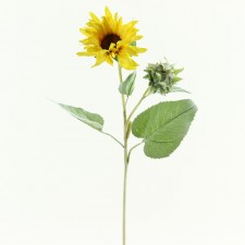 26.5" SUNFLOWER SPRAY B11