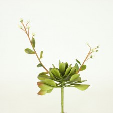 17.5" SUCCULENT W/FLOWER GREEN