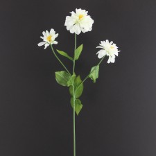 26"ZINNIA SPRAY X3 CREAM B4