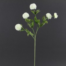 24" POM POM DAISY SPRAY CREAM