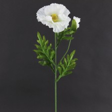 24.5" POPPY STEM CREAM B4