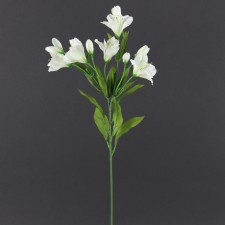 25"ALSTROEMERIA STEM CREAM