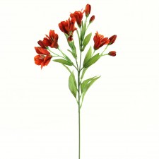 25"ALSTROEMERIA STEM RED