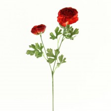 24" RANUNCULUS SPRAY X2 B4
