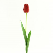 26" TULIP STEM RED B4