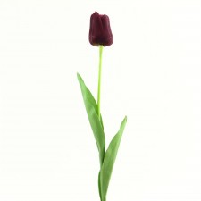 26" TULIP STEM PLUM B4