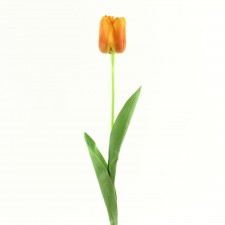 26" TULIP STEM ORANGE B4