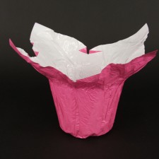 SPEED COVER 6" PINK X1