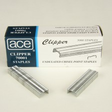 1/4" ACE STAPLES