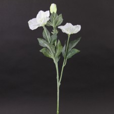 24"SNOW ROSE SPRY WHITE A4