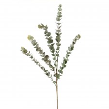 30"EUCALYPTUS SPRAY