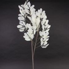 39" SWEETPEA SPRAY CREAM