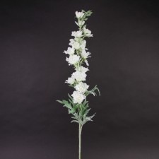 36"DELPHINIUM SPRAY CREAM