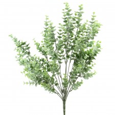 EUCAPLYTUS BUSH GREEN
