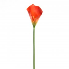 31"CALLA LILY STEM A4