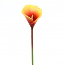 31"CALLA LILY STEM A4