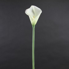 31"CALLA LILY STEM CREAM A25