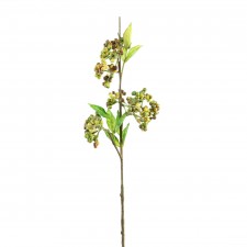 26" BERRY SPRAY GRN/YELL A25