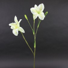 DAY LILY SPRAY CREAM A4