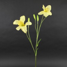 DAY LILY SPRAY YELLOW A4