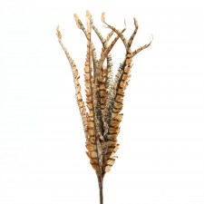 FEATHER PICK A4