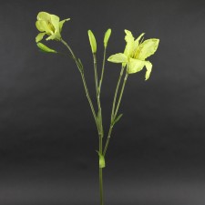 DAY LILY SPRAY GREEN A4