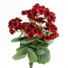 GERANIUM BUSH RED