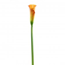 25"CALLA LILY SPRAY A4