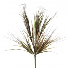 ONION GRASS MIX BUSH A25