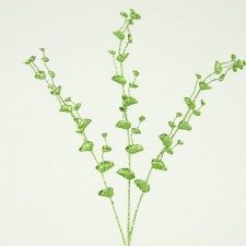 EUCALYPTUS SPRAY X3 W/GLT